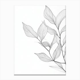 Pencil Drawing Of A Leaf 1 Canvas Print