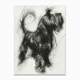 Briard Dog Charcoal Line 4 Canvas Print