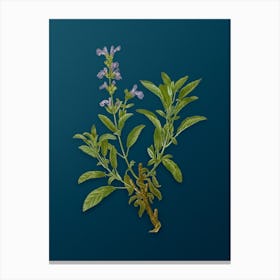 Vintage Garden Sage Botanical Art on Teal Blue n.0124 Canvas Print