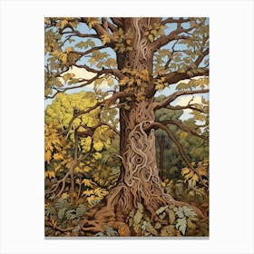 Shagbark Hickory 1 Vintage Autumn Tree Print  Canvas Print