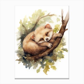 Adorable Chubby Sleeping Possum 1 Canvas Print