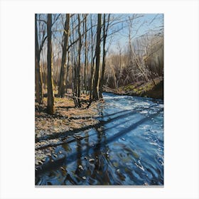 River Running Through The Woods Canvas Print