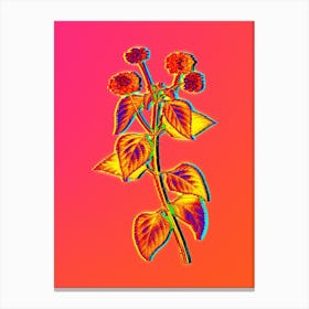 Neon Tickberry Botanical in Hot Pink and Electric Blue n.0377 Canvas Print