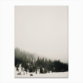 Foggy Winter Day Canvas Print