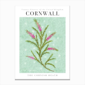 Cornwall County Flower | The Cornish Heath Canvas Print