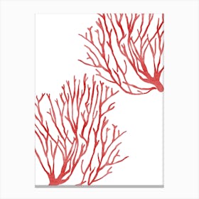 Red Coral Canvas Print