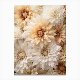 Boho Dried Flowers Chrysanthemum 3 Canvas Print