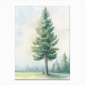 Douglas Fir Tree Atmospheric Watercolour Painting 1 Canvas Print