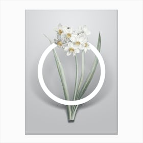 Vintage Narcissus Easter Flower Minimalist Floral Geometric Circle on Soft Gray n.0305 Canvas Print