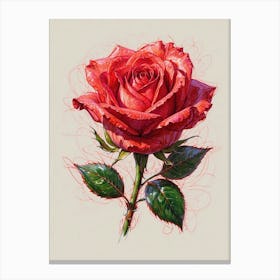 Red Rose 1 Canvas Print