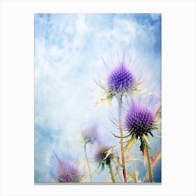 Thistle On Blue Sky Canvas Print