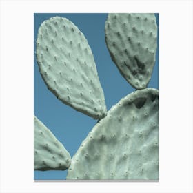 Cactus Paw Canvas Print