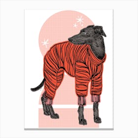 Greyhound Pyjamas Canvas Print