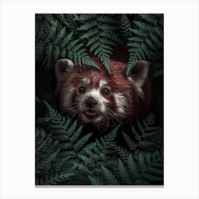 Cute Red Panda Canvas Print