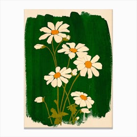 Daisy Flowers 5 Canvas Print