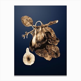 Gold Botanical Fig on Midnight Navy n.4336 Canvas Print