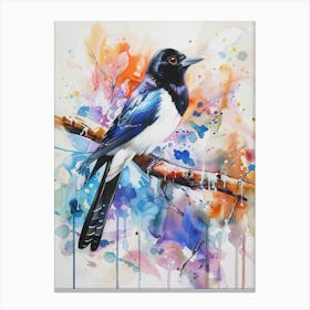 Magpie Colourful Watercolour 3 Canvas Print