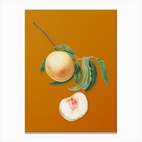 Vintage Duracina Peach Botanical on Sunset Orange n.0537 Canvas Print
