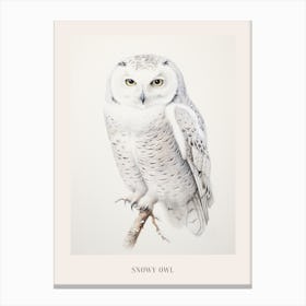 Vintage Bird Drawing Snowy Owl 4 Poster Canvas Print