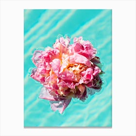 Floating Peonia In Swimming Pool Canvas Print