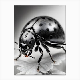 Ladybug Canvas Print