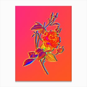 Neon Blood Red Bengal Rose Botanical in Hot Pink and Electric Blue n.0444 Canvas Print
