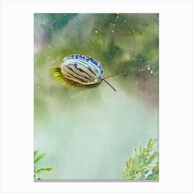 Nudibranch Storybook Watercolour Canvas Print