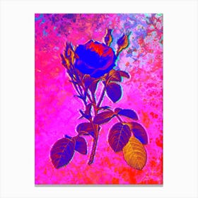 Double Moss Rose Botanical in Acid Neon Pink Green and Blue n.0103 Canvas Print