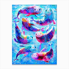 Happy Seals Canvas Print