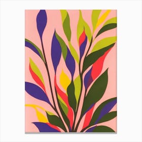 Flowering Maple Colourful Illustration Plant Canvas Print