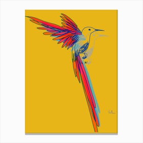 Hummingbird005 Canvas Print
