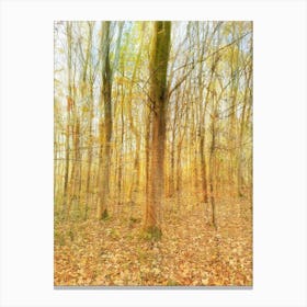 Autumn Maze Canvas Print