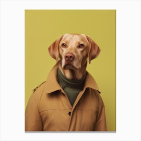 A Dog Labrador Retriever Canvas Print