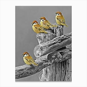 Four Sparrows Canvas Print