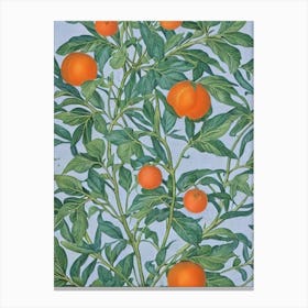 Clementine Vintage Botanical Fruit Canvas Print