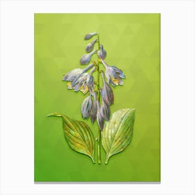 Vintage Blue Daylily Botanical Art on Love Bird Green n.0550 Canvas Print