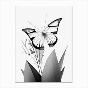 Butterfly In Garden Black & White Geometric 1 Canvas Print