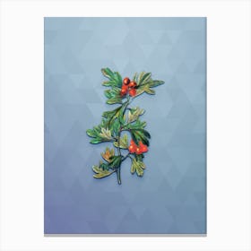 Vintage Morocco Hawthorn Flower Botanical Art on Summer Song Blue Canvas Print