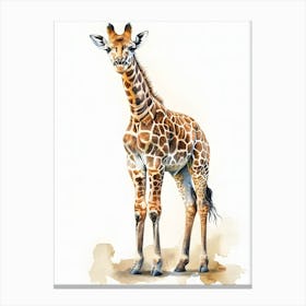 Giraffe 1 Canvas Print