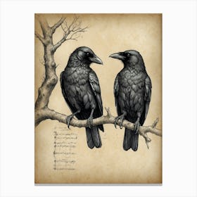 Crows On A Branch 1 Canvas Print