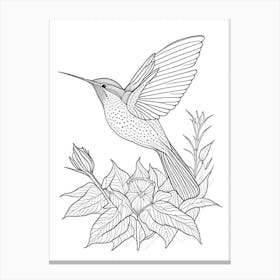 Allen S Hummingbird William Morris Line Drawing 1 Canvas Print