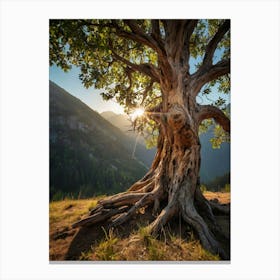 Old Tree In The Mountains Canvas Print