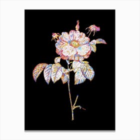 Stained Glass Speckled Provins Rose Mosaic Botanical Illustration on Black Canvas Print