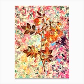 Impressionist Turnip Roses Botanical Painting in Blush Pink and Gold Canvas Print