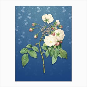 Vintage Adelia Aurelianensis Botanical on Bahama Blue Pattern Canvas Print