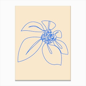 Flower Drawing, Floral Drawing Canvas Print
