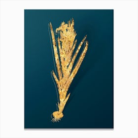 Vintage Ferraria Botanical in Gold on Teal Blue n.0050 Canvas Print