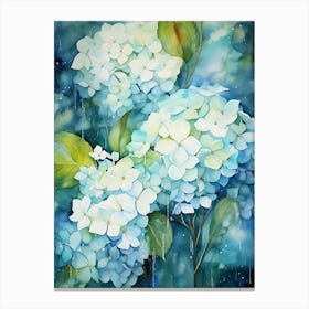 Hydrangeas 17 Canvas Print