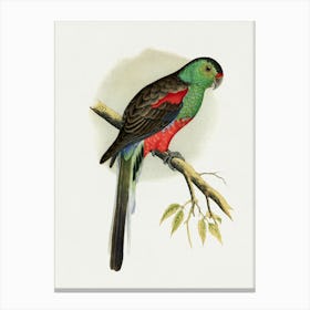 Parrot I Canvas Print Canvas Print