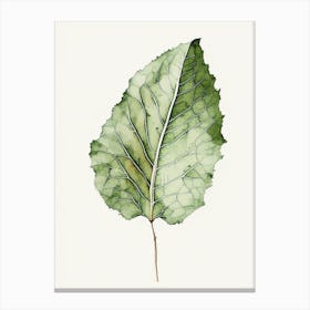 Burdock Leaf Minimalist Watercolour Canvas Print